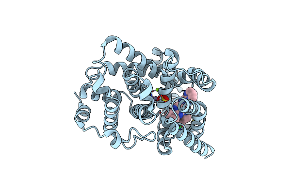 6L6E image