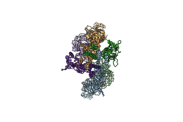 6L6F image