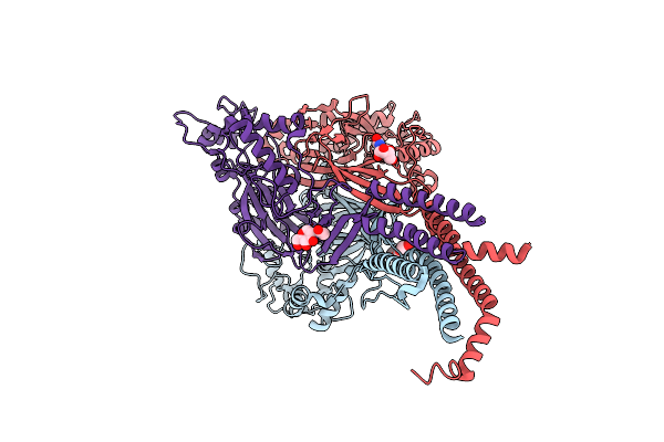 6L6I image