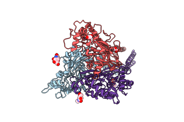 6L6N image