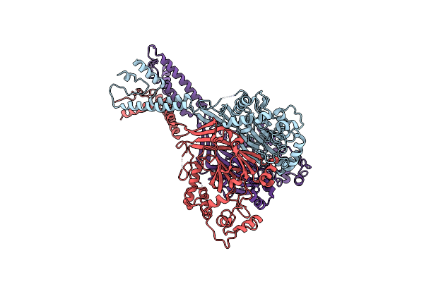 6L6P image