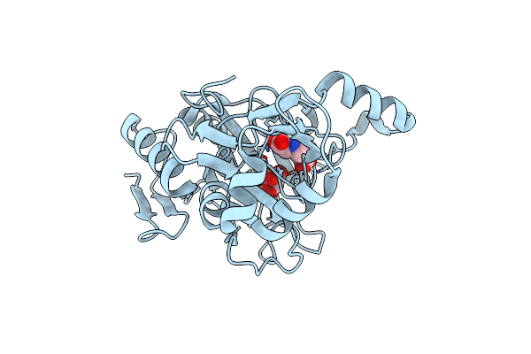 6L6X image