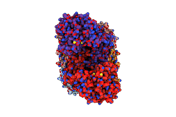 6L6Z image