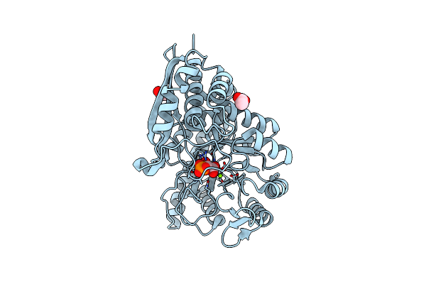 6L7D image