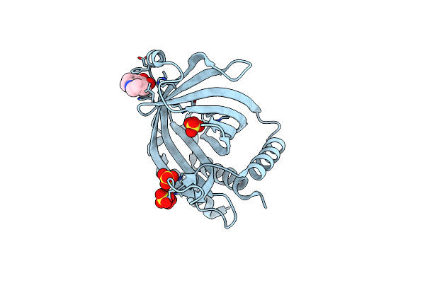 6L7Y image