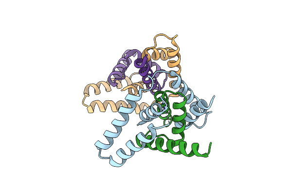 6L81 image