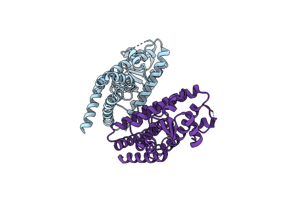 6L8B image