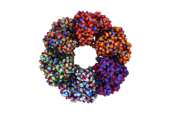 6L8D image