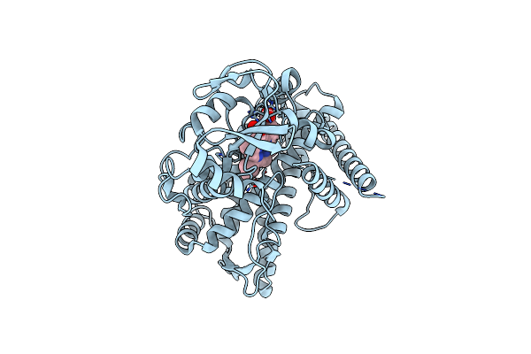 6L8I image