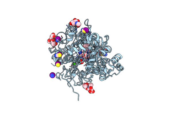 6L9T image