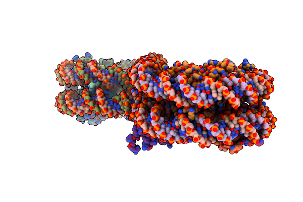 6LAB image