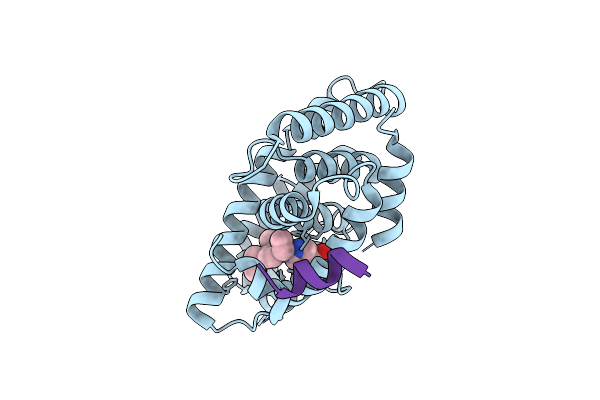 6LB6 image