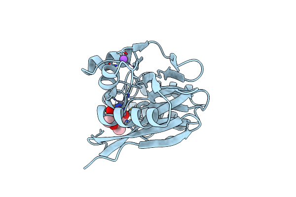 6LBL image