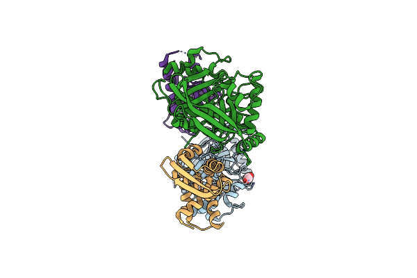 6LBT image