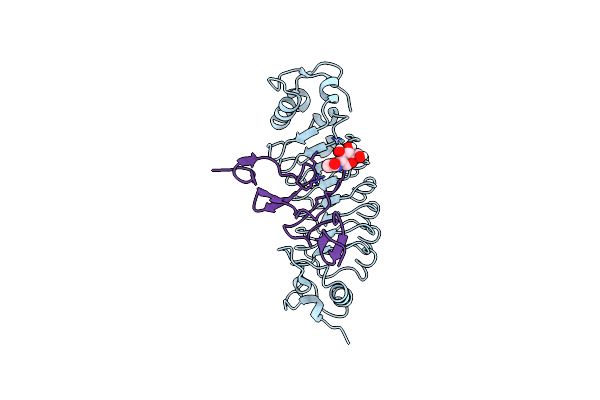 6LBX image