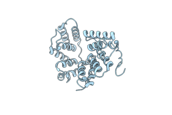 6LCH image