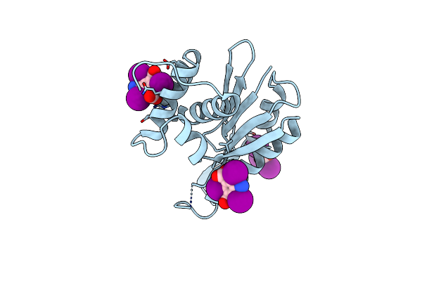 6LCM image