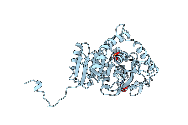 6LDH image