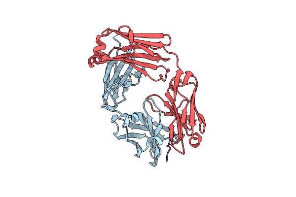6LDV image