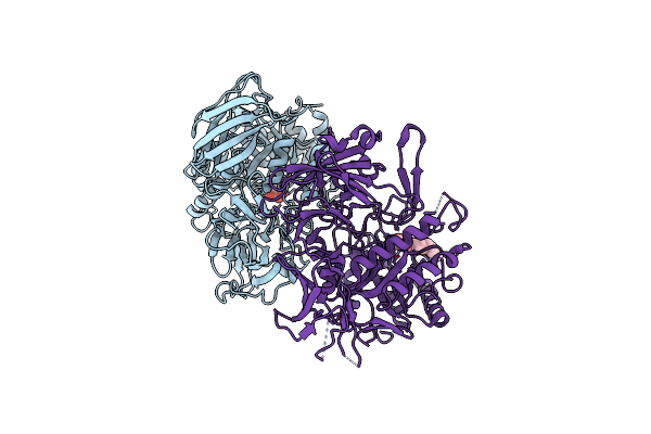 6LEM image