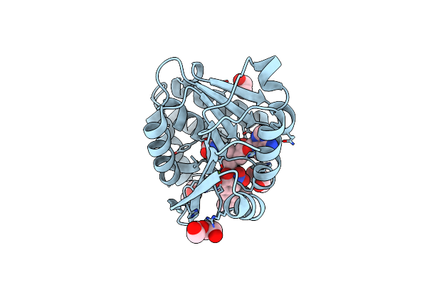 6LFE image