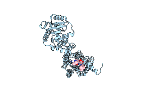 6LFL image