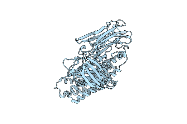6LFP image
