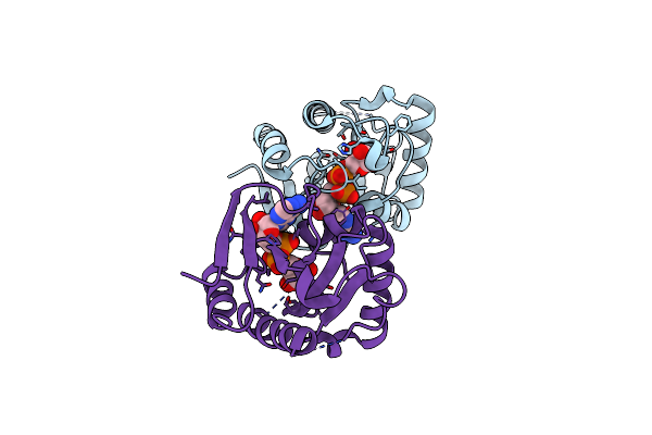 6LFU image