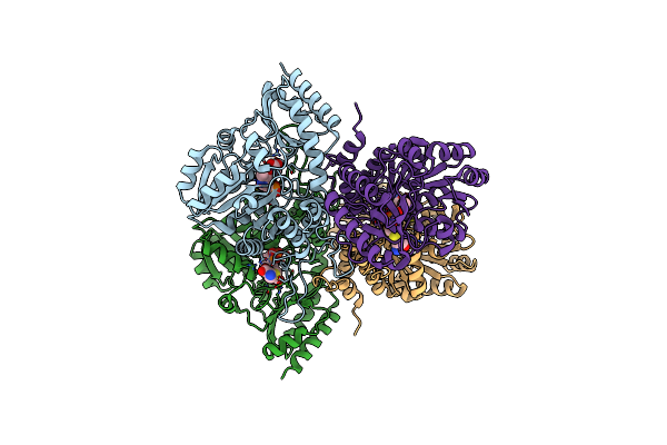 6LGO image