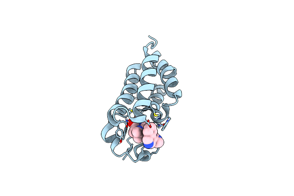 6LIM image