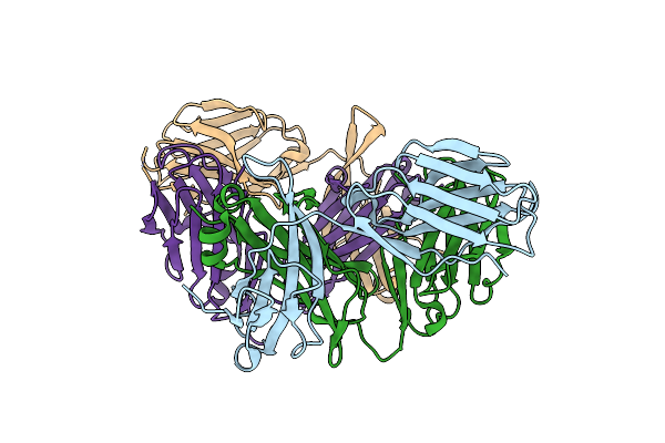 6LIR image