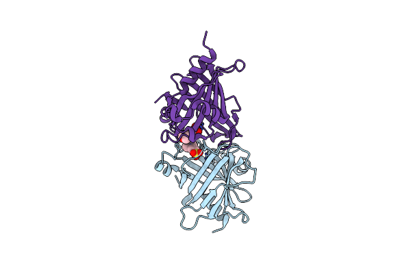6LIX image