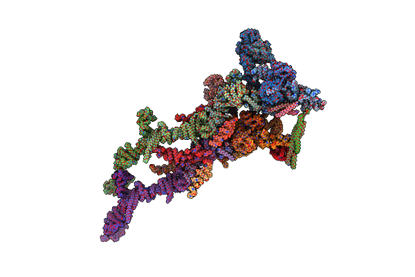 6LK8 image
