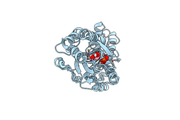 6LKK image
