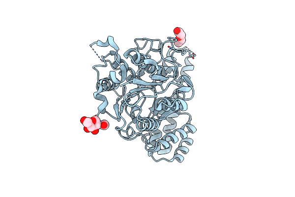 6LKO image