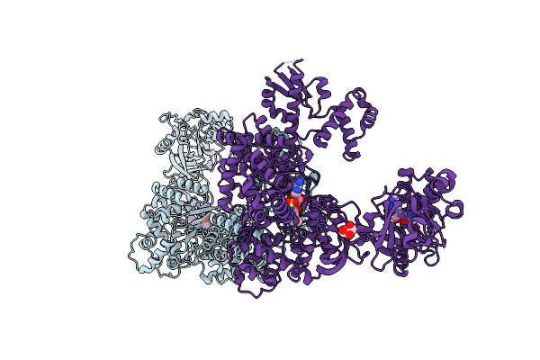 6LPF image