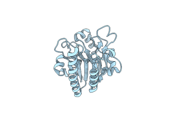 6LPM image