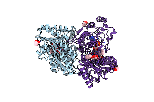6LPP image