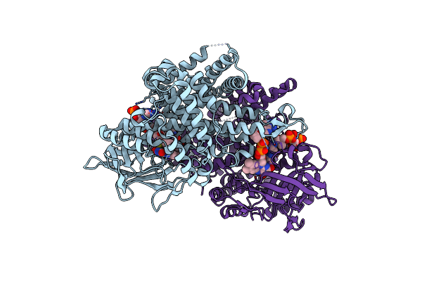 6LPY image