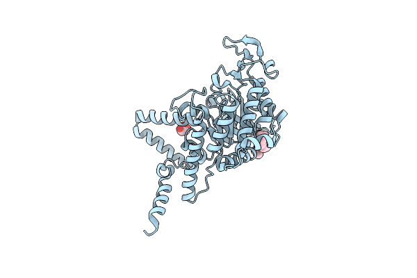 6LRP image