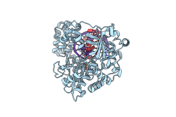 6LSF image