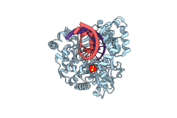 6LSG image