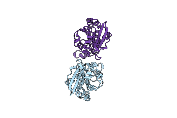 6LSO image