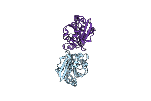 6LSP image