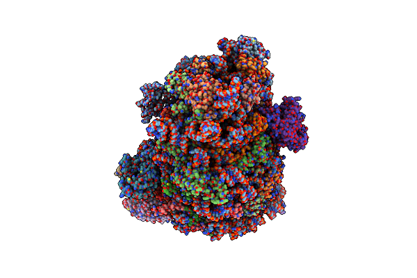 6LSR image