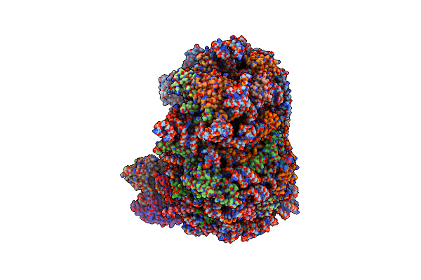 6LSS image