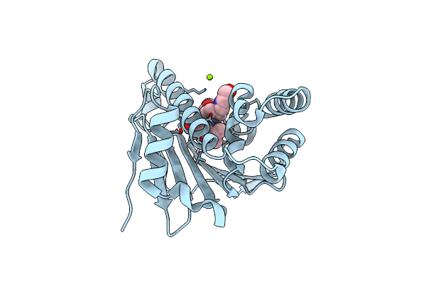 6LTI image