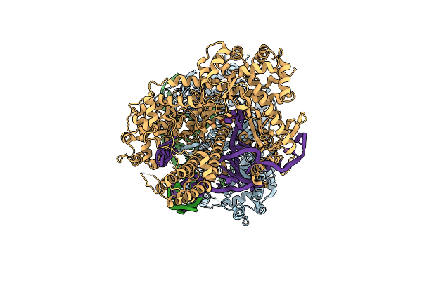 6LTP image