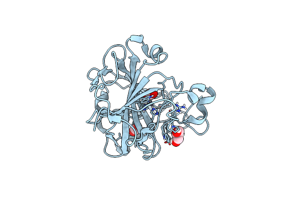 6LUZ image