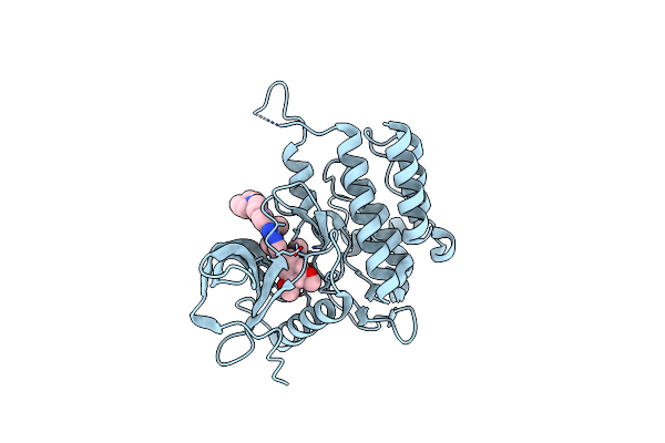 6LVM image